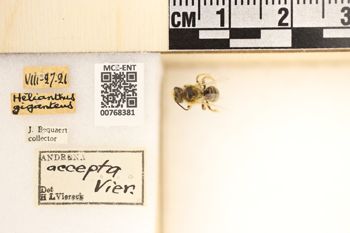 Media type: image;   Entomology 768381 Aspect: Labels